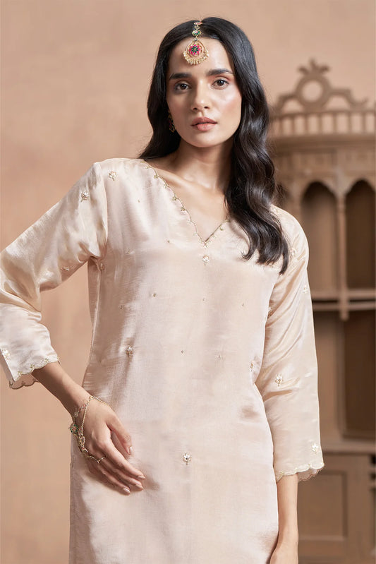Blush Pearl Shimmer Tissue Kurta Set